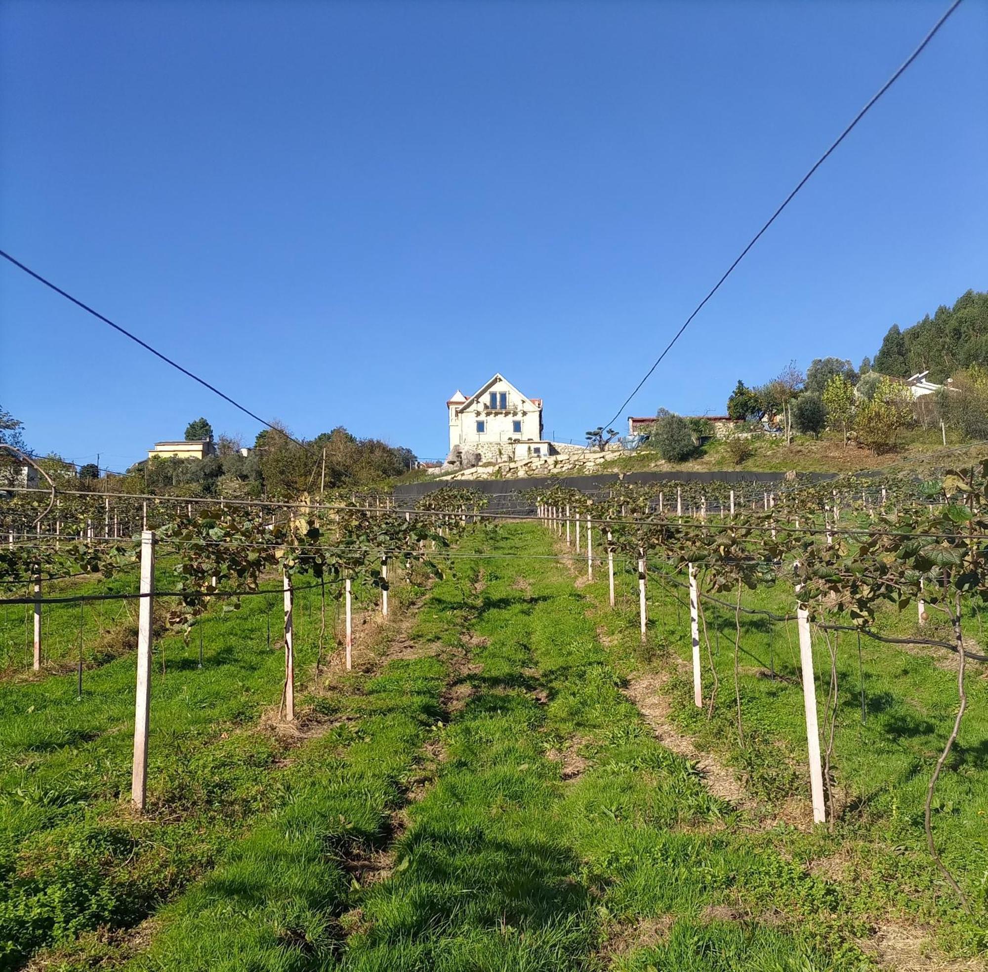 Quinta Do Bairro Villa Vieira do Minho Luaran gambar